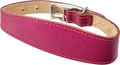 Whippet Deluxe Collar, Boysenberry